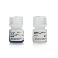 Thermo Scientific Pierce Albumin Serum Depletion Kits Kit zur Entfernung von Albumin- und IgG | Buy Online | Thermo Scientific&trade; | Fisher Scientific