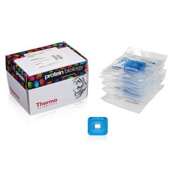 Thermo Scientific Slide-A-Lyzer Dialysis Cassettes, 2K MWCO 0.5 mL | Buy Online | Thermo Scientific&trade; | Fisher Scientific