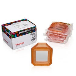 Thermo Scientific Cassettes de dialyse Slide-A-Lyzer , MWCO de 10 K, 12 ml 30 ml | Buy Online | Thermo Scientific&trade; | Fisher Scientific