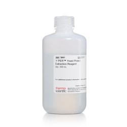 Thermo Scientific Y-PER Yeast Protein Extraction Reagent 200 mL | Buy Online | Thermo Scientific&trade; | Fisher Scientific