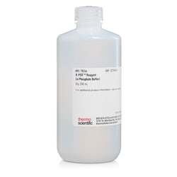 Thermo Scientific Reagenti di estrazione di proteine batteriche B-PER 500 ml | Buy Online | Thermo Scientific&trade; | Fisher Scientific