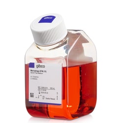 Gibco Makrophagen-SFM (1x) 500 ml | Buy Online | Gibco&trade; | Fisher Scientific