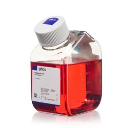 Gibco Hepatocyte Wash Medium 500 mL | Buy Online | Gibco&trade; | Fisher Scientific