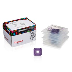 Thermo Scientific Slide-A-Lyzer Dialysis Cassettes, 20K MWCO 0.5 mL | Buy Online | Thermo Scientific&trade; | Fisher Scientific