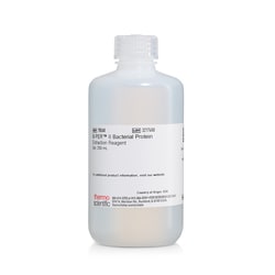 Thermo Scientific&trade;&nbsp;B-PER&trade; II Bacterial Protein Extraction Reagent (2X)