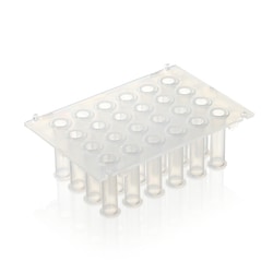 Thermo Scientific KingFisher Plastics for 24 deep-well format Peigne à embouts et plaque à 24 puits profonds | Buy Online | Thermo Scientific&trade; | Fisher Scientific
