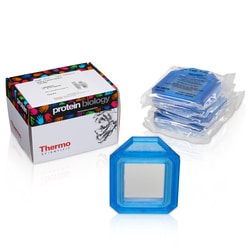 Thermo Scientific Slide-A-Lyzer Dialyskassetter, 2K MWCO 30 mL | Buy Online | Thermo Scientific&trade; | Fisher Scientific