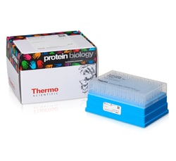 Thermo Scientific Pierce C18 Spinntips& Kolumner 96 x 100&mu; L Tips | Buy Online | Thermo Scientific&trade; | Fisher Scientific