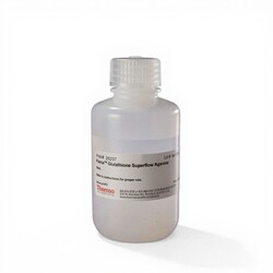 Thermo Scientific Pierce Glutathione Superflow Agarose 50 mL | Buy Online | Thermo Scientific&trade; | Fisher Scientific