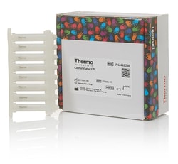 Thermo Scientific&trade;&nbsp;CaptureSelect&trade; LambdaXP RoboColumn&trade; Pre-packed Columns
