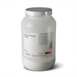 Thermo Scientific™ Sodium Dodecyl Sulfate (SDS), C12