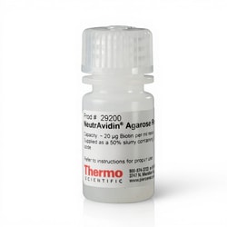 Thermo Scientific Pierce NeutrAvidin Agarose 5 mL | Buy Online | Thermo Scientific&trade; | Fisher Scientific