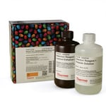 Thermo Scientific GelCode Blue Stain Reagent 500 mL | Buy Online