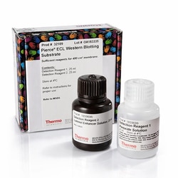 Thermo Scientific Pierce ECL Western Blotting Substrate 50 mL | Buy Online | Thermo Scientific&trade; | Fisher Scientific