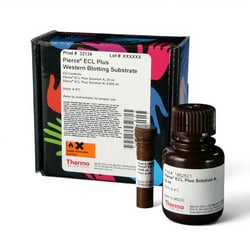 Thermo Scientific&trade;&nbsp;Pierce&trade; ECL Plus Western Blotting Substrate