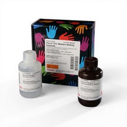 Thermo Scientific&trade;&nbsp;Pierce&trade; ECL Western Blotting Substrate