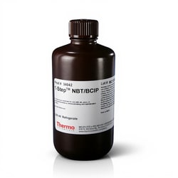 Thermo Scientific&trade;&nbsp;1-Step&trade; NBT/BCIP Substrate Solution