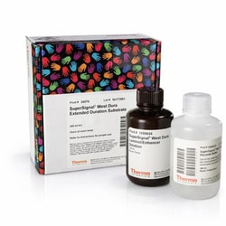 Thermo Scientific SuperSignal West Dura Extended Duration Substrate 200 mL | Buy Online | Thermo Scientific&trade; | Fisher Scientific