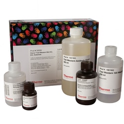 Thermo Scientific&trade;&nbsp;Pierce&trade; Fast Western Blot Kit, ECL Substrate