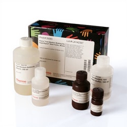 Thermo Scientific Pierce Fast Western Blot Kits, SuperSignal West Femto, mus 400 mL | Buy Online | Thermo Scientific&trade; | Fisher Scientific