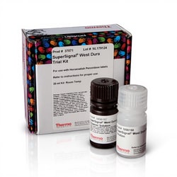 Thermo Scientific Substrat à durée prolongée SuperSignal West Dura 20 mL | Buy Online | Thermo Scientific&trade; | Fisher Scientific