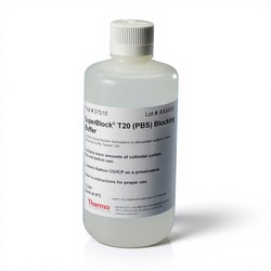 Thermo Scientific&trade;&nbsp;SuperBlock&trade; Blocking Buffer
