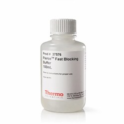 Thermo Scientific Pierce Fast Blocking Buffer 100 mL | Buy Online | Thermo Scientific&trade; | Fisher Scientific