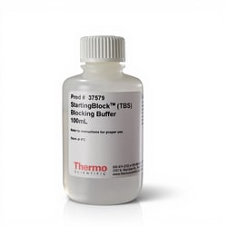 Thermo Scientific StartingBlock Blocking Buffer 100 mL | Buy Online | Thermo Scientific&trade; | Fisher Scientific