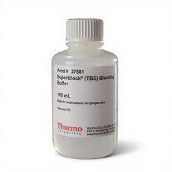 Thermo Scientific SuperBlock Blocking Buffer 100 mL | Buy Online | Thermo Scientific&trade; | Fisher Scientific