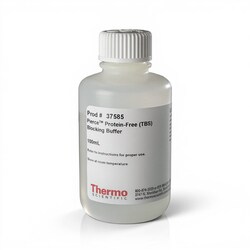 Thermo Scientific&trade;&nbsp;Pierce&trade; Protein-Free Blocking Buffer