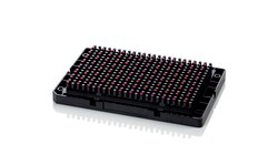 Applied Biosystems&trade;&nbsp;Axiom&trade; Strawberry FanaSNP 50k Genotyping Array, 384-HT format
