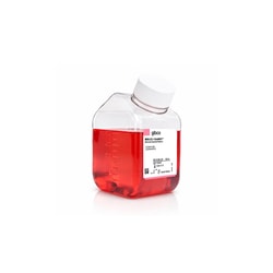 Gibco&trade;&nbsp;MEM, HEPES, GlutaMAX&trade; Supplement
