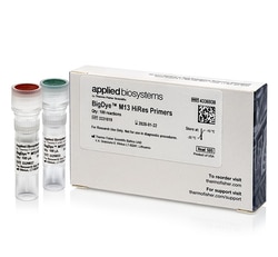 Applied Biosystems&trade;&nbsp;BigDye&trade; M13 HiRes Primers