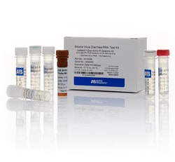 VetMAX™-Gold BVDV PI Detection Kit