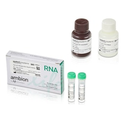 Applied Biosystems Path-ID Multiplex One-Step Kit 1000 Reactions:PCR Equipment