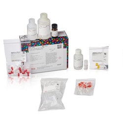 Thermo Scientific&trade;&nbsp;Pierce&trade; Mouse IgG1 Fab and F(ab')2 Micro Preparation Kit