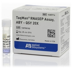Applied Biosystems™ TaqMan™ RNase P-analys, ABY™ dye/QSY™ sond