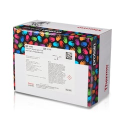 Thermo Scientific Pierce Mouse IgG1 Fab and F(ab')2 Preparation Kit 2.5 mL kit | Buy Online | Thermo Scientific&trade; | Fisher Scientific