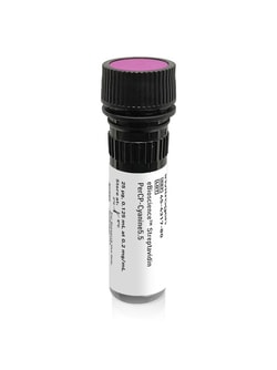 Invitrogen&trade;&nbsp;eBioscience&trade; Streptavidin PerCP-Cyanine5.5 Conjugate