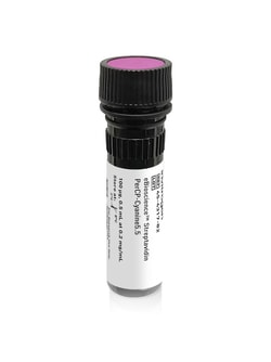Invitrogen eBioscience Streptavidin PerCP-Cyanine5.5 Conjugate 100 &mu;g | Buy Online | Invitrogen&trade; | Fisher Scientific