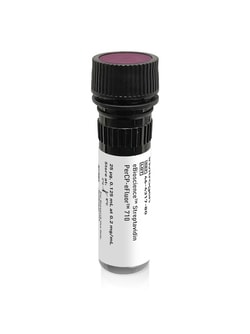 Invitrogen&trade;&nbsp;eBioscience&trade; Streptavidin PerCP-eFluor&trade; 710 Conjugate