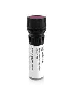 Invitrogen eBioscience Streptavidin eFluor 710 Conjugate 100 &mu;g | Buy Online | Invitrogen&trade; | Fisher Scientific