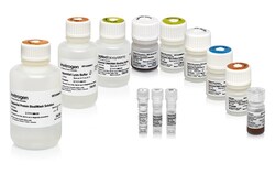 Thermo scientific Sequential Protein/DNA/RNA Extraction Kit 100 Reactions | Buy Online | Thermo scientific&trade; | Fisher Scientific