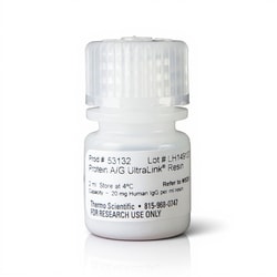 Thermo Scientific Pierce Protein A/G UltraLink Resin 2 mL | Buy Online | Thermo Scientific&trade; | Fisher Scientific