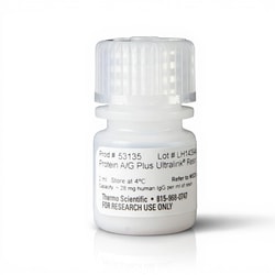 Thermo Scientific™ Pierce™ Protein A/G Plus UltraLink™ Harpiks