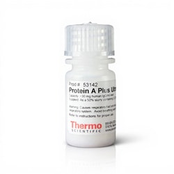 Thermo Scientific™ Pierce™ Protein A Plus UltraLink™ Harpiks