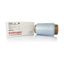 Invitrogen™ Low Fluorescence PVDF Membranes
