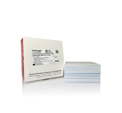 Invitrogen Low Fluorescence PVDF Membranes:Western Blot Products:Western