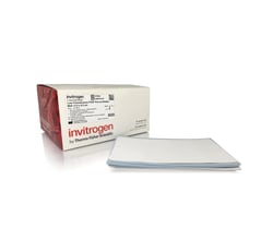 Invitrogen Low Fluorescence PVDF Membranes:Western Blot Products:Western