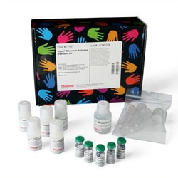 Thermo Scientific™ Imject™ Maleimide-Activated BSA Spin Kit
